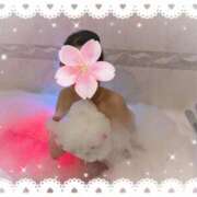 ヒメ日記 2025/05/02 14:22 投稿 牧原【まきはら】 丸妻 西船橋店