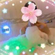 ヒメ日記 2025/05/07 10:35 投稿 牧原【まきはら】 丸妻 西船橋店