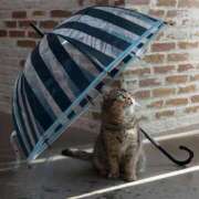 ヒメ日記 2025/06/10 09:45 投稿 牧原【まきはら】 丸妻 西船橋店