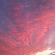 ヒメ日記 2025/11/03 10:49 投稿 牧原【まきはら】 丸妻 西船橋店