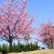 ヒメ日記 2026/03/01 07:07 投稿 牧原【まきはら】 丸妻 西船橋店