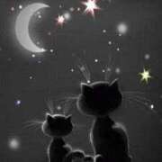 ヒメ日記 2026/03/16 22:58 投稿 牧原【まきはら】 丸妻 西船橋店