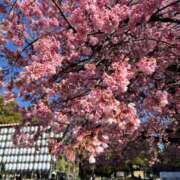 ヒメ日記 2026/04/03 19:37 投稿 牧原【まきはら】 丸妻 西船橋店