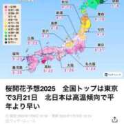 ヒメ日記 2025/01/15 08:09 投稿 片桐【かたぎり】 丸妻 西船橋店