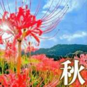 ヒメ日記 2025/09/23 09:18 投稿 片桐【かたぎり】 丸妻 西船橋店