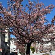 ヒメ日記 2025/02/24 08:23 投稿 志村【しむら】 丸妻 西船橋店