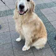 ヒメ日記 2025/10/30 09:35 投稿 志村【しむら】 丸妻 西船橋店