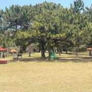 ヒメ日記 2025/04/09 15:18 投稿 りな セクシー(長崎)