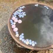 ヒメ日記 2025/04/19 08:03 投稿 りな セクシー(長崎)