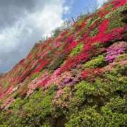 ヒメ日記 2025/04/23 00:48 投稿 りな セクシー(長崎)