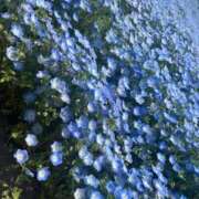 ヒメ日記 2025/12/19 09:03 投稿 りな セクシー(長崎)