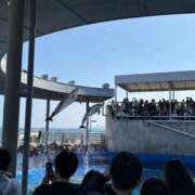 ヒメ日記 2026/03/20 14:33 投稿 りな セクシー(長崎)