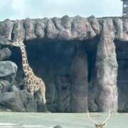 ヒメ日記 2026/04/02 21:48 投稿 りな セクシー(長崎)