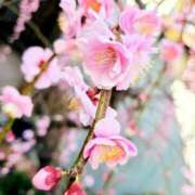 ヒメ日記 2025/03/15 20:03 投稿 りか アップル(長崎)