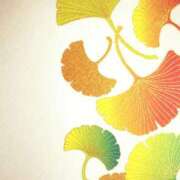 ヒメ日記 2025/09/17 12:54 投稿 りか アップル(長崎)