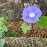 ヒメ日記 2025/09/24 13:36 投稿 りか アップル(長崎)