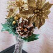 ヒメ日記 2025/12/30 09:48 投稿 りか アップル(長崎)