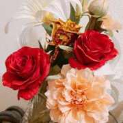 ヒメ日記 2026/02/08 10:18 投稿 りか アップル(長崎)