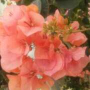 ヒメ日記 2026/02/26 17:18 投稿 りか アップル(長崎)