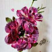 ヒメ日記 2026/03/09 22:19 投稿 りか アップル(長崎)