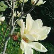 ヒメ日記 2026/03/14 09:48 投稿 りか アップル(長崎)