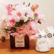 ヒメ日記 2026/04/03 08:27 投稿 りか アップル(長崎)