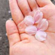 ヒメ日記 2026/04/04 08:18 投稿 りか アップル(長崎)