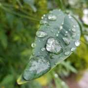 ヒメ日記 2026/04/04 15:03 投稿 りか アップル(長崎)