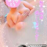 ヒメ日記 2025/08/13 01:27 投稿 まり アップル(長崎)