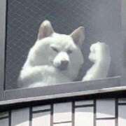 ヒメ日記 2025/07/25 16:16 投稿 みるく 熟女の風俗最終章 町田店