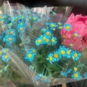 ヒメ日記 2025/06/09 14:13 投稿 めろ ソープランド AQUA（アクア）