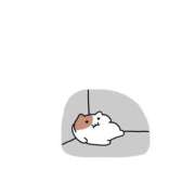 ヒメ日記 2025/08/18 13:54 投稿 めろ ソープランド AQUA（アクア）