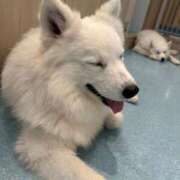 ヒメ日記 2025/11/26 09:18 投稿 めろ ソープランド AQUA（アクア）