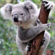 ヒメ日記 2025/06/21 11:27 投稿 水嶋まどか 松戸人妻花壇