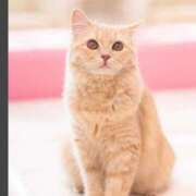 ヒメ日記 2026/04/15 13:27 投稿 水嶋まどか 松戸人妻花壇