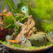 ヒメ日記 2025/11/25 02:48 投稿 まつした 埼玉★出張マッサージ委員会Z