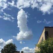 ヒメ日記 2025/05/29 11:47 投稿 相田　なおみ セレブショップ新宿（東京ハレ系）