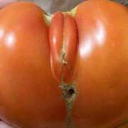 相田　なおみ ほとんど日記を書いてないね、と セレブショップ新宿（東京ハレ系）