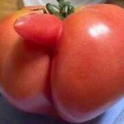 相田　なおみ 昨年もお世話になりました セレブショップ新宿（東京ハレ系）