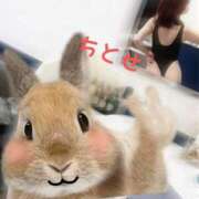 ヒメ日記 2024/12/26 08:16 投稿 ちとせ 渋谷 風俗 奥様発情の会