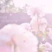 棚橋(たなはし) こんにちは😊 相模原人妻城