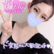 ヒメ日記 2024/12/09 22:20 投稿 釜戸咲 厚木OL委員会