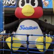 ヒメ日記 2025/04/02 16:53 投稿 釜戸咲 厚木OL委員会