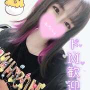 ヒメ日記 2025/04/10 19:40 投稿 釜戸咲 厚木OL委員会