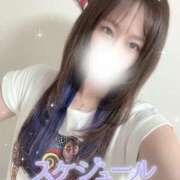 ヒメ日記 2025/05/05 22:13 投稿 釜戸咲 厚木OL委員会