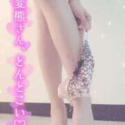 ヒメ日記 2025/11/03 19:50 投稿 釜戸咲 厚木OL委員会