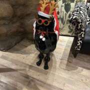 ヒメ日記 2025/12/01 00:40 投稿 釜戸咲 厚木OL委員会