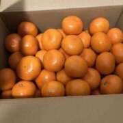 ヒメ日記 2026/01/03 21:27 投稿 釜戸咲 厚木OL委員会