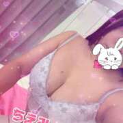 ヒメ日記 2024/12/17 19:08 投稿 ちえみ【Ｆカップ巨乳美女】 LIPS(リップス)