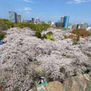 ヒメ日記 2026/04/16 22:59 投稿 ちえみ【Ｆカップ巨乳美女】 LIPS(リップス)